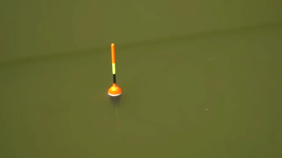 content_img.png