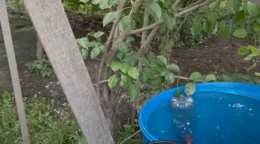 Как поливать огород из бочки без насоса