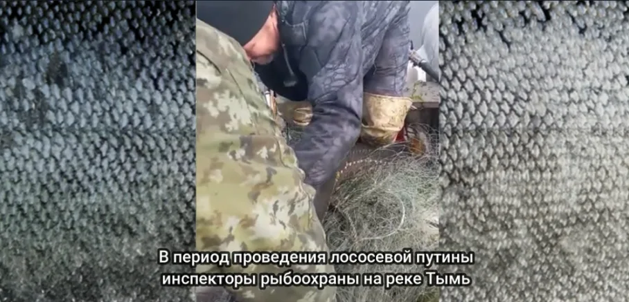 Рыбоохрана на страже тихоокеанских лососей