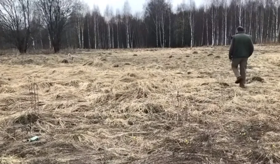 Покупка дачного участка от А до Я