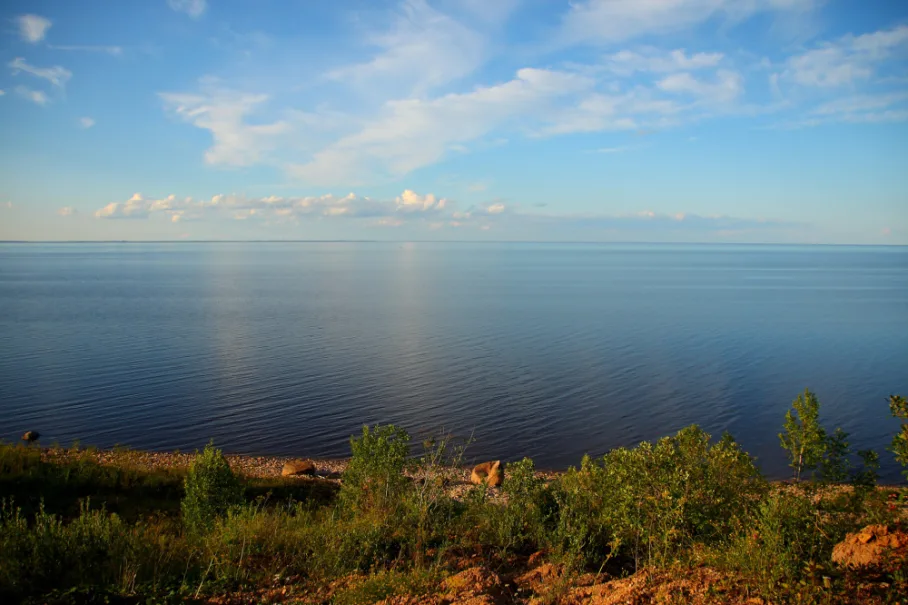 Озеро Ильмень Новгородская область