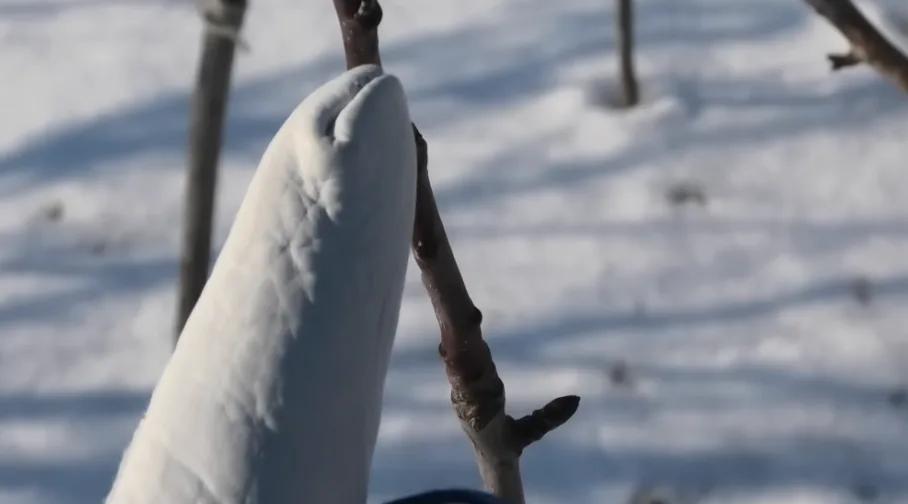 content_img.png