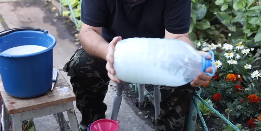 content_img.png