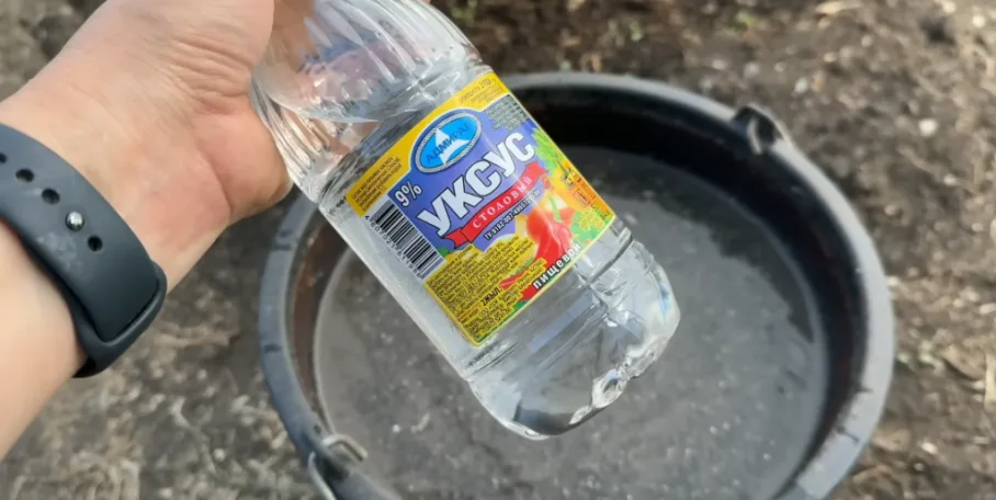 content_img.png