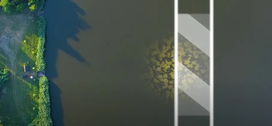 content_img.png