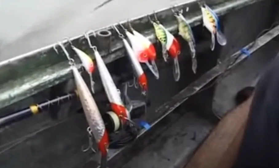 content_img.png