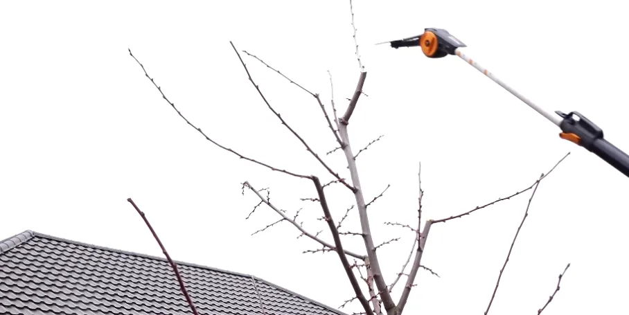 content_img.png