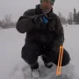 сброс.jpg