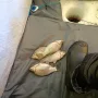 IMG-20260208-WA0000.jpg