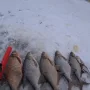 река ока лещ.jpg
