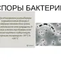 Можно ли есть рыбу, пойманную в Москва-реке.jpg