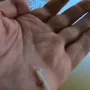 1747718700166.jpg