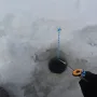 игра на безмотылку постукиванием.png