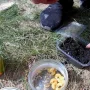 Скриншот 26-08-2024 200708.jpg