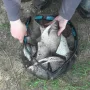 москва река.jpg
