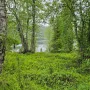 IMG-20250708-WA0003.jpg