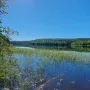 20250721_111302.jpg