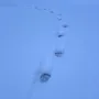 1756136187640.jpg