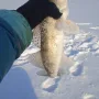 IMG-20250128-WA0002.jpg
