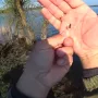 1744786494170.jpg