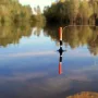 Почему нельзя держать удочку во время поклевки.jpeg