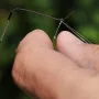 10.png