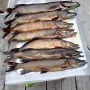 IMG-20250827-WA0039.jpg