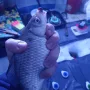 IMG-20260208-WA0002.jpg