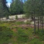 20250627_143729.jpg