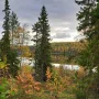 20250919_154310.jpg