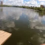 1747718674108.jpg