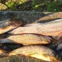 20240806_185457.jpg