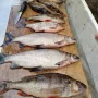 IMG-20250922-WA0037.jpg