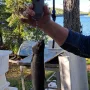 20250913_121743.jpg