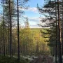 Screenshot_20221118-153240_VK.jpg