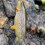 IMG_20260831_082059_176.jpg
