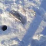 IMG-20250128-WA0001.jpg