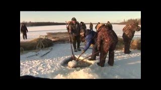 Охота и рыбалка в Якутии