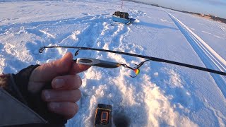 Зимняя рыбалка на реке Бердь, ловля судака 2022