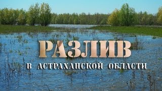 "Разлив" в Астраханской области 2012-13 год