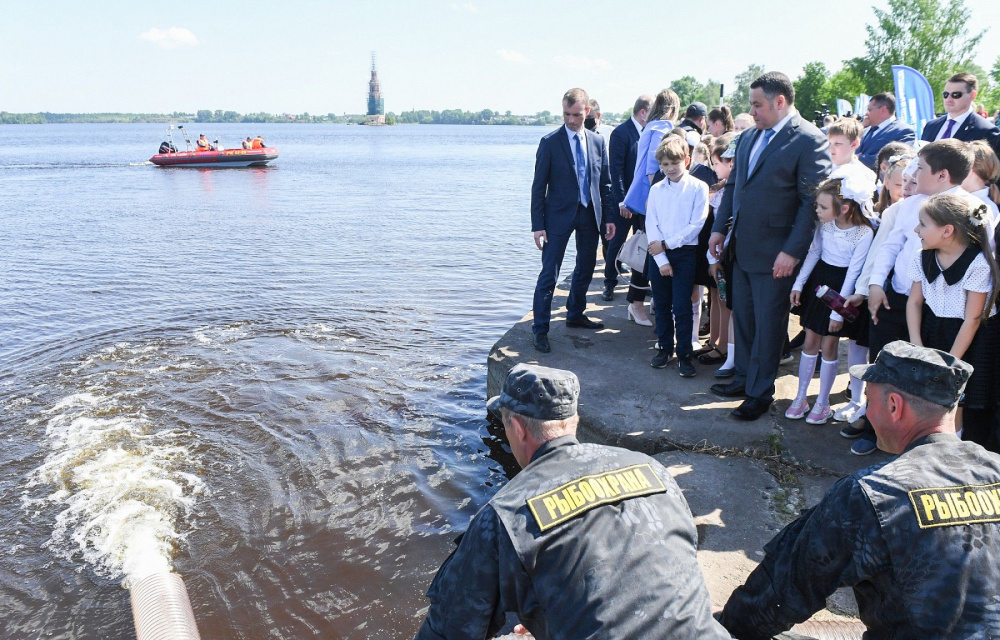 Около 13 тыс. мальков стерляди выпустили в Волгу в Тверской области