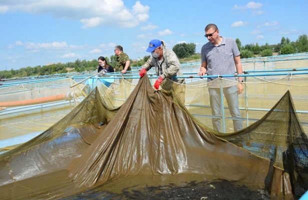 «Росводоканал Омск» организовал на Иртыше «выпускной» для мальков осетра