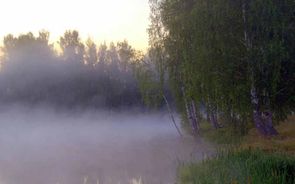 Река Межница Тюменская область