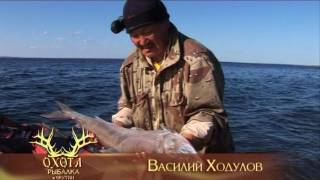 Рыбалка на море Лаптевых