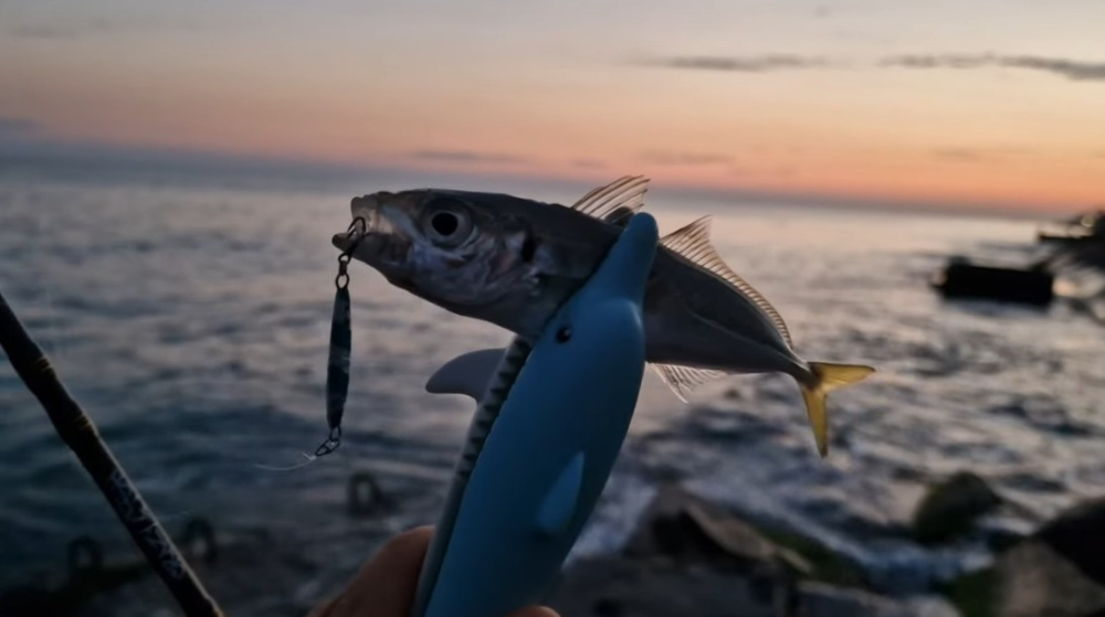 Рокфишинг: рыбалка в Черном море