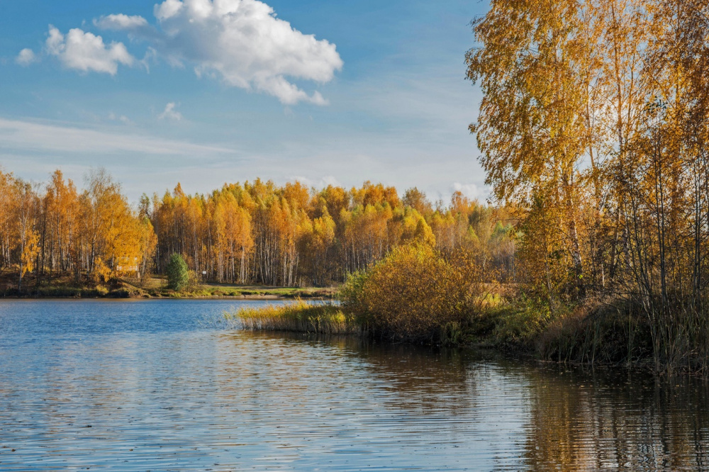 Старица деревня Решетникова