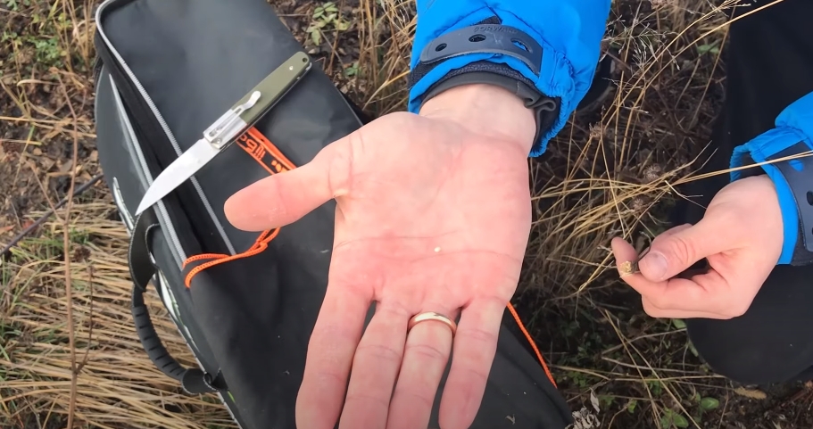 Репейник и чернобыльник - насадка для ловли рыбы Репейник и чернобыльник - насадка для ловли рыбы